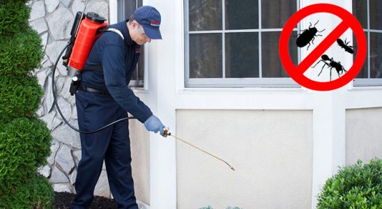 Alaca Dezenfeksiyon böcek ilaçlama ve haşere kontrolü — ilaclama-tr.com
